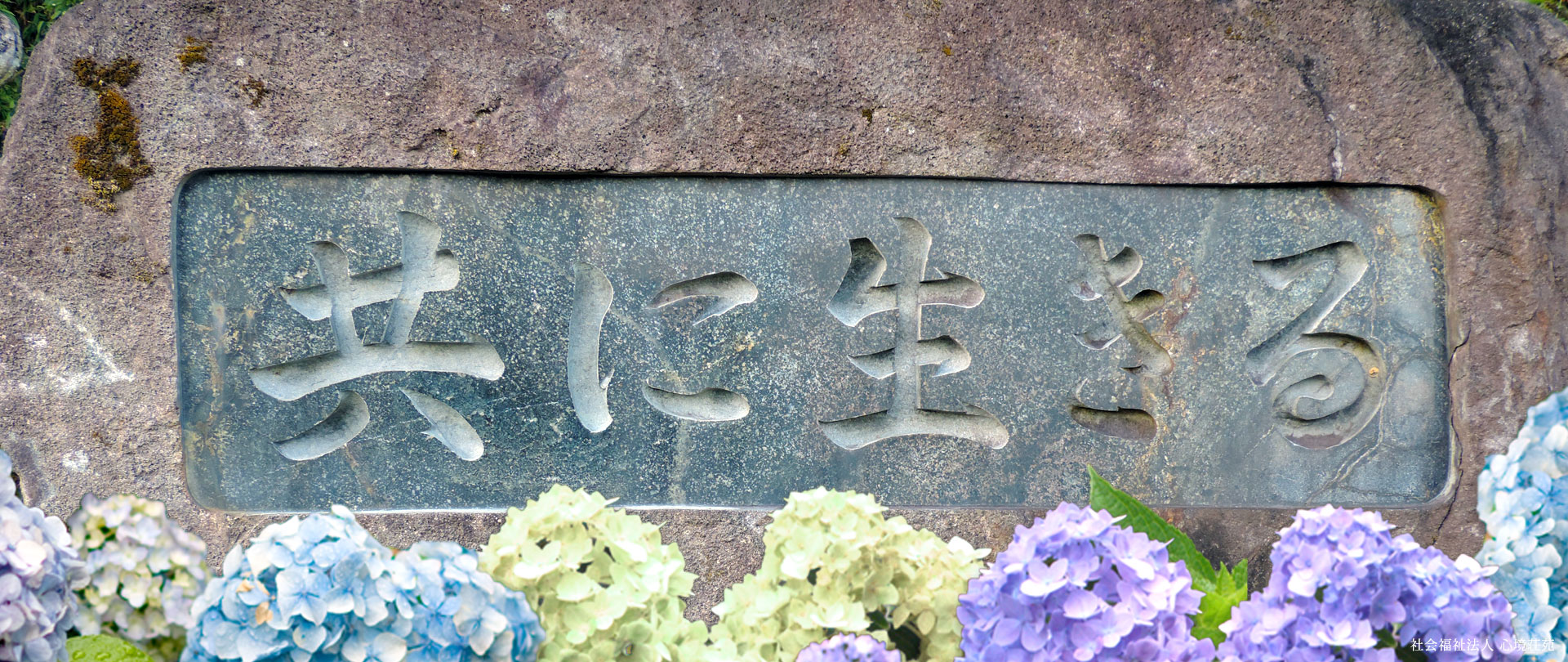 社会福祉法人心境荘苑