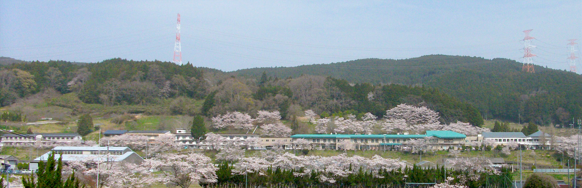 施設周辺の山々と桜が咲く春の風景。介護施設の建物が遠景に見える